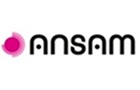 Ansam